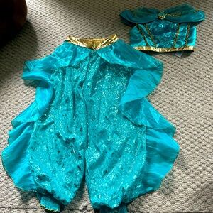 Princess Jasmine costume